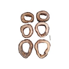 Hohle Nussbaum Baumscheibe ca