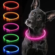 LED Leuchthalsband