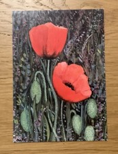 1 Postkarte, Roter Mohn und