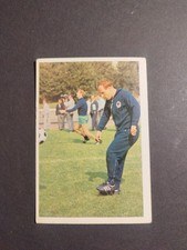 Fußballkarten