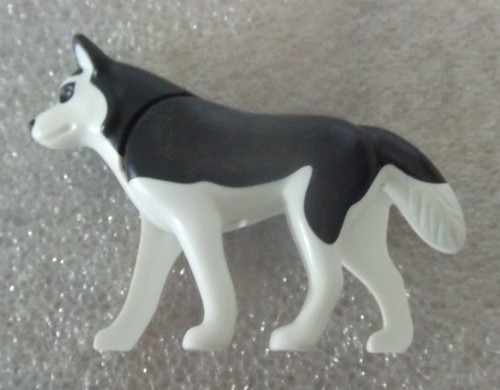 40924 mittelgroßer hund - mittelgroßer,