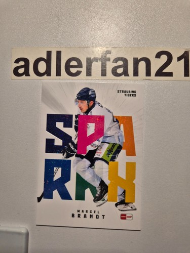 Del 2025 2026 sparkx - del, 2025-2026