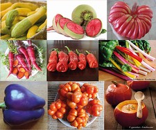 ?Tomaten Chili Paprika Gurke Mais Bohnen Kürbis Karotten Zucchini Melonen Samen