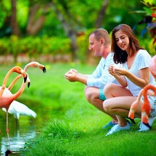 Sulzbach LUXUS Kurzreise 3-6 Tage 4* Dorint Hotel Main-Taunus-Zentrum + Opel Zoo