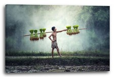 Wandbild Junge im Regenwald