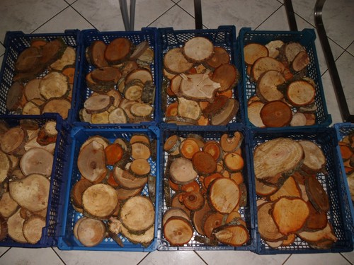 Holzscheiben rund holz - holzscheiben, rund,