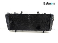 Kühler Wasserkühler Aprilia