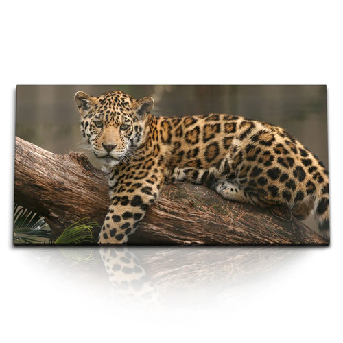 120x80cm kunstdruck bilder - kunstdruck,