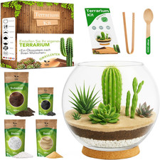 Terrarium-Set Für Sukkulenten