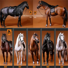 Mr.Z Hannover 1/6 Warmblood Horse Simulation Animal Model Resin Figure W/Harness