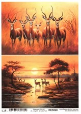 Reispapier A4 Strohseide