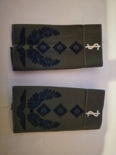 Orden BRD BW  Schulterstücke Paar Oberstarzt Zahnarzt Luftwaffe