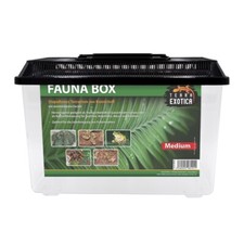 Terra exotica faunabox medium - terra,