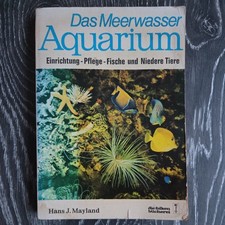 Das Meerwasser- Aquarium