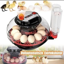 Inkubator Brutkasten