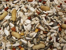 Papageienfutter TOP 10 kg