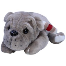 Amek Hund mit Schal, liegend