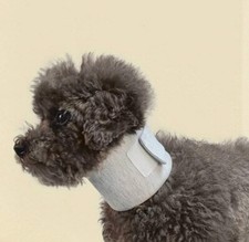 SchutzkragenHalskragen