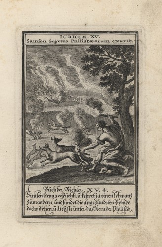 Christoph weigel biblia ectypa - christoph,