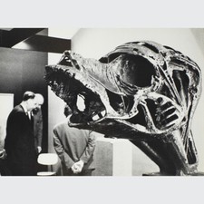 Karlheinz bauer kunstobjekt - karlheinz,