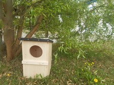 Entenhaus für Schellenten