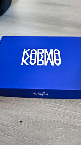 Stray kids karma - stray,
