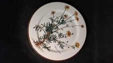 Speiseteller, Serie Botanica