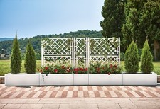 Gartenspalier Spalier