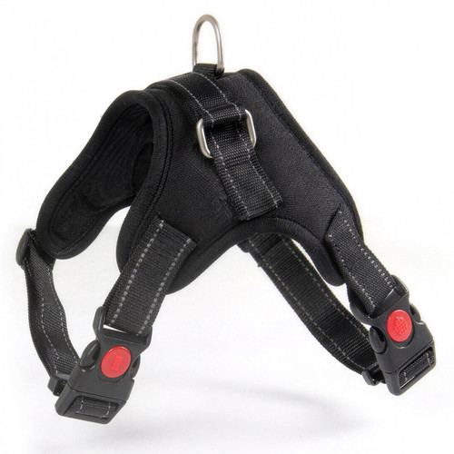 Basics hundegeschirr xl - h-basics,