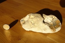 Feuerstein von der Düne Helgoland, unbehandelt, 16cm x 9cm x 5cm, gelb/orange