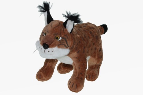Kuscheltier luchs raub katze - kuscheltier,