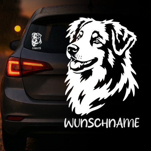 Australian shepherd hund - australian,
