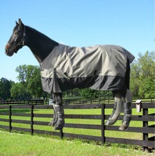 Euroriding Regendecke "Rainy"