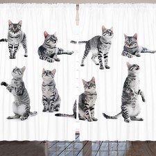 Katze Rustikale Gardine