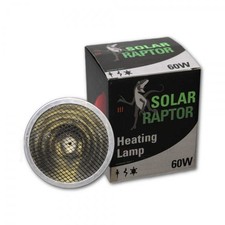 Econlux SolarRaptor
