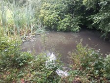 Playmobil Landschaft Set