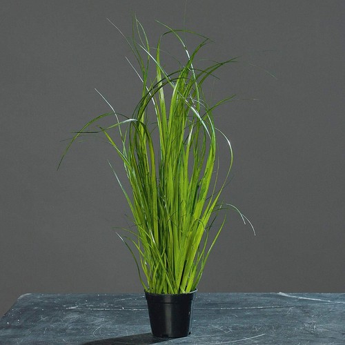 Chinaschilf kunstgras 35cm - chinaschilf, kunstgras,