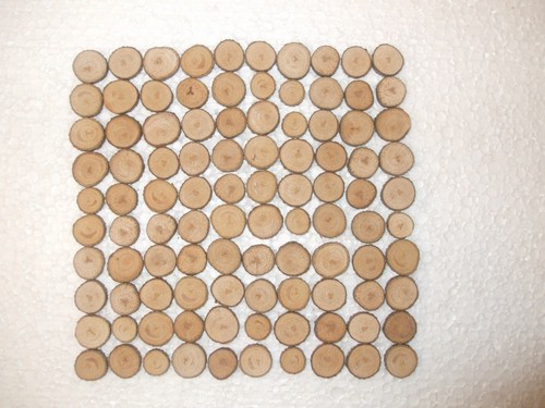 100 baumscheiben erle 1 - 100,