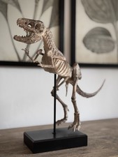Dekoratives T-Rex Skelettmodell auf Sockel