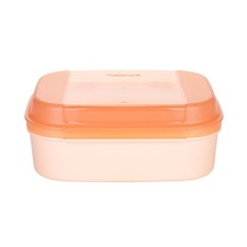 Tupperware Naschkätzchen 1,4 l Lachs Rosa Behälter Box Apollo Bellevue A02
