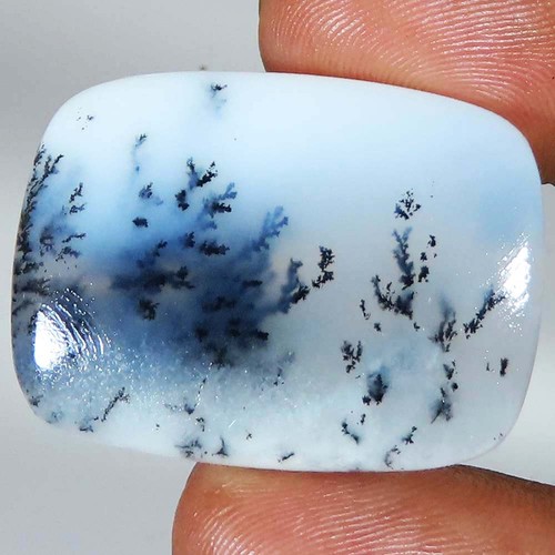 Natur dendrite opal kissenform - natur,