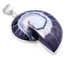 XXL Anhänger Nautilusmuschel