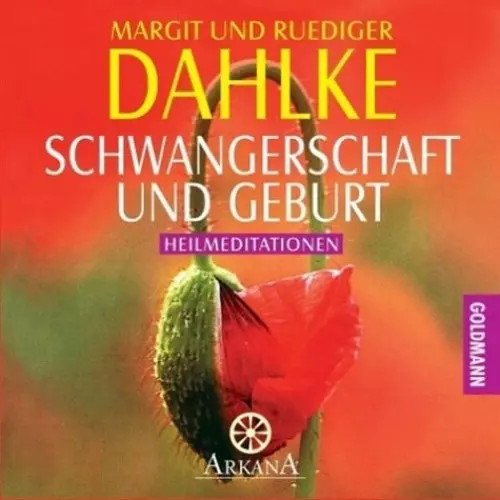 Schwangerschaft und geburt - und,