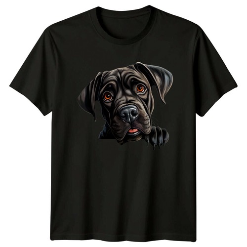 Süßes cane corso hunderasse - süßes,