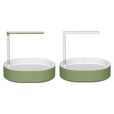 Papagei Vogel Badewanne