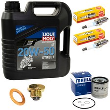 4L Set Öl Inspektion für BMW