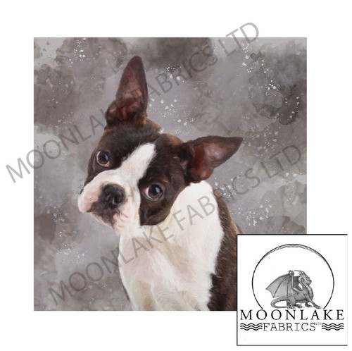 Boston terrier hund stoff - boston,