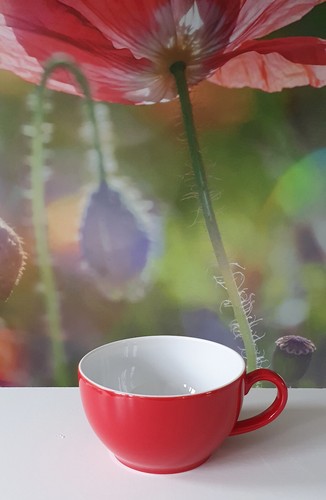Dibbern solid color cappuccino - dibbern,