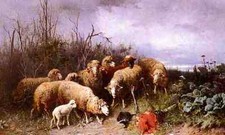 Gebler Friedrich Otto Schafe