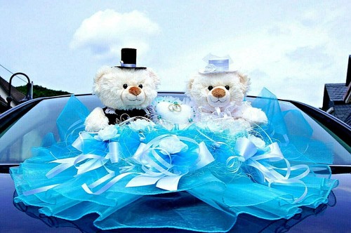 Bären hochzeit brautauto - bären,